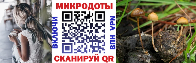 Псилоцибиновые грибы прущие грибы  Сурск 